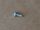 motor windshield wiper HMMWV