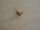 inverted flare tube nut 1/4" inside Chevy K30