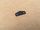 shim 2mm for latch rim x-door rear HMMWV