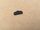 shim 5mm for latch rim x-door rear HMMWV