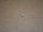 rivet blind splash shield reinforcement left hand HMMWV