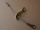 cable safety transfer case HMMWV M998