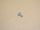 Vis en pouce UNC 1/4"-20 x 0,50" Grade 5 galvanisé