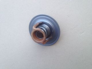Thermostat Ford Mutt M151