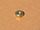 Radmutter vorne rechts Einzelbereifung Reo 2,5ton M35 M36